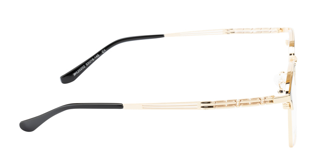 Rectangular Gold And Black Metal Eyewear Frame For Men