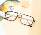 Stylish Brown Frame with Double Bar