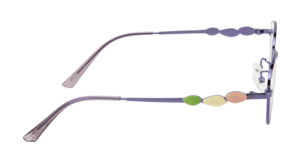 Elegant Metal Frames In Purple