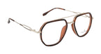SilverEdge Geo: DA Brown & Silver | Double Bar Frame
