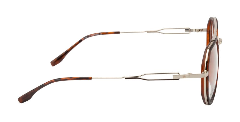 SilverEdge Geo: DA Brown & Silver | Double Bar Frame