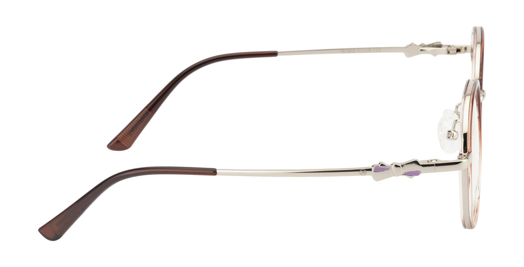 Elegant Silver & Brown Round Frame