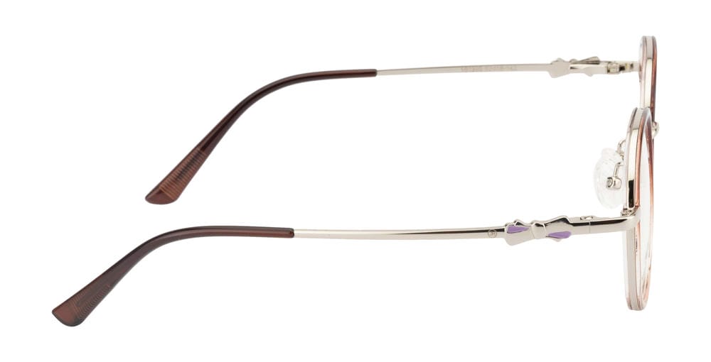 Elegant Silver & Brown Round Frame