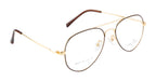 Full Metal Eyewear In Gold & Brown Accents
