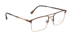 Luxe Metal Eyewear: Brown & Gold Double Plated Frame with Spring Hinges