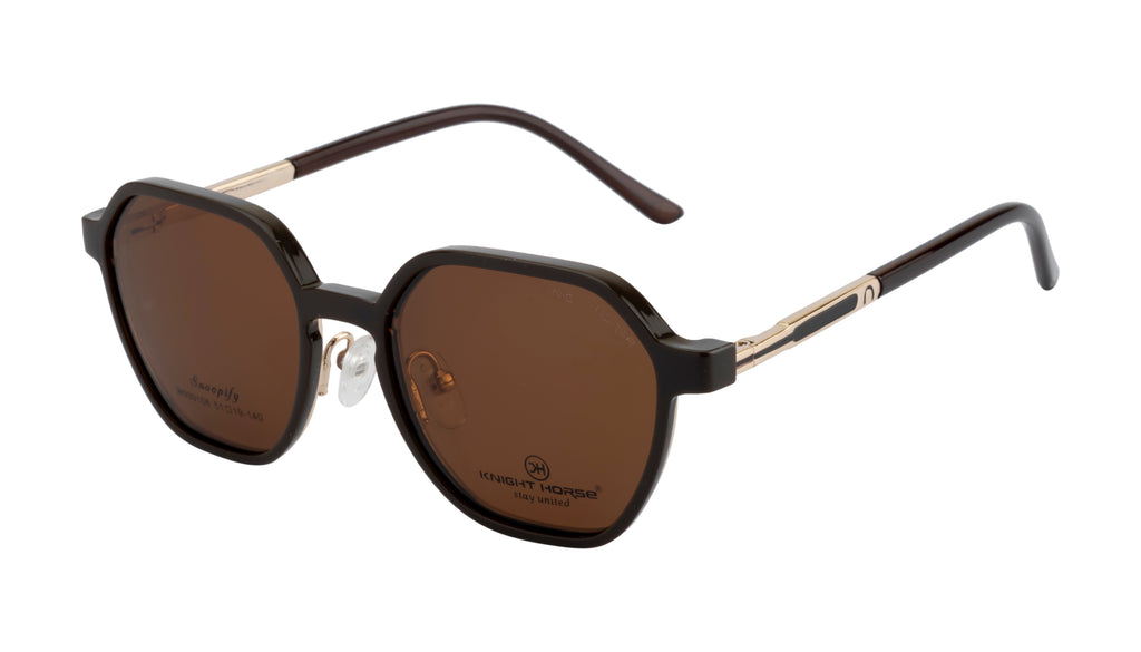 Gold & Brown Hexa-Shaped Eyewear with Polarized Clip-On