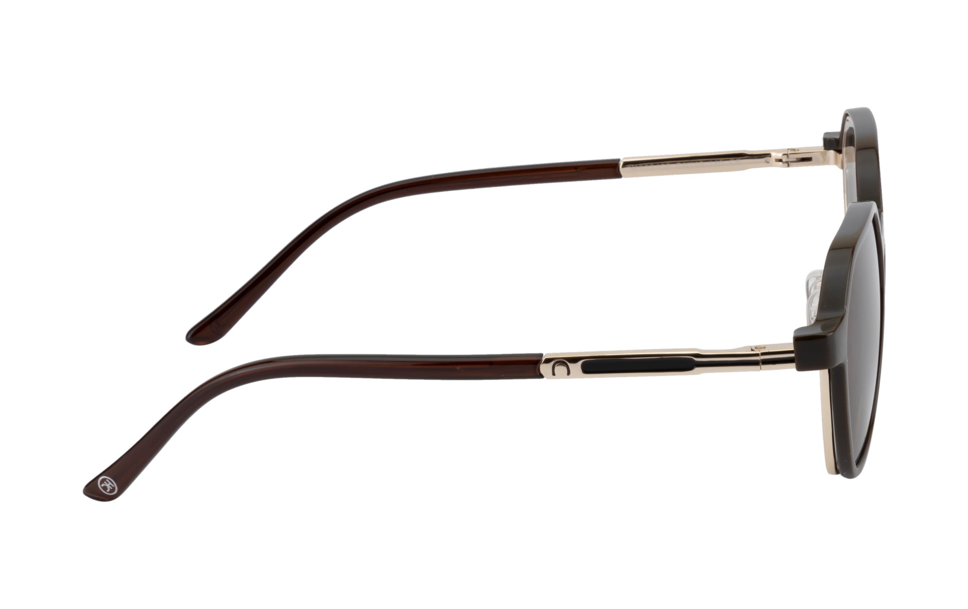 Gold & Brown Hexa-Shaped Eyewear with Polarized Clip-On