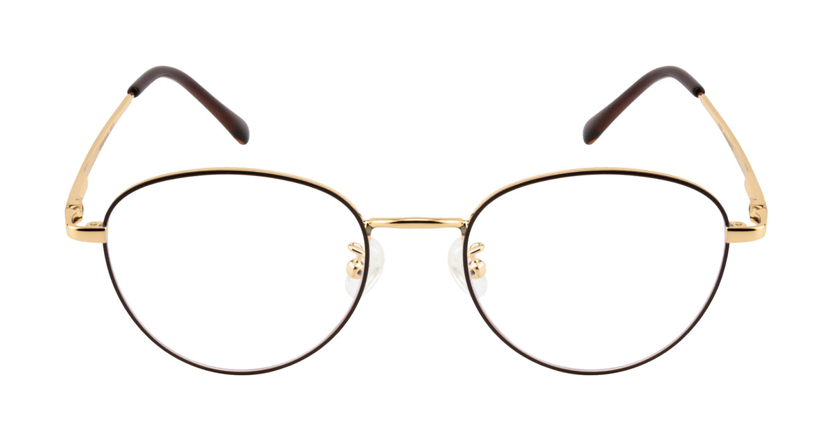Round Metal Eyewear Frame In Gold & Brown