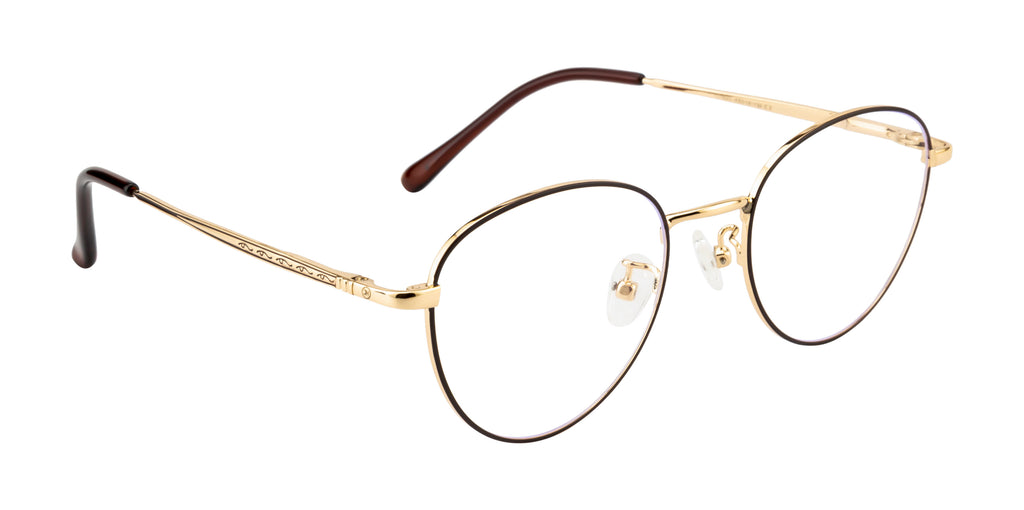 Round Metal Eyewear Frame In Gold & Brown