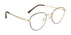 Round Metal Eyewear Frame In Gold & Brown