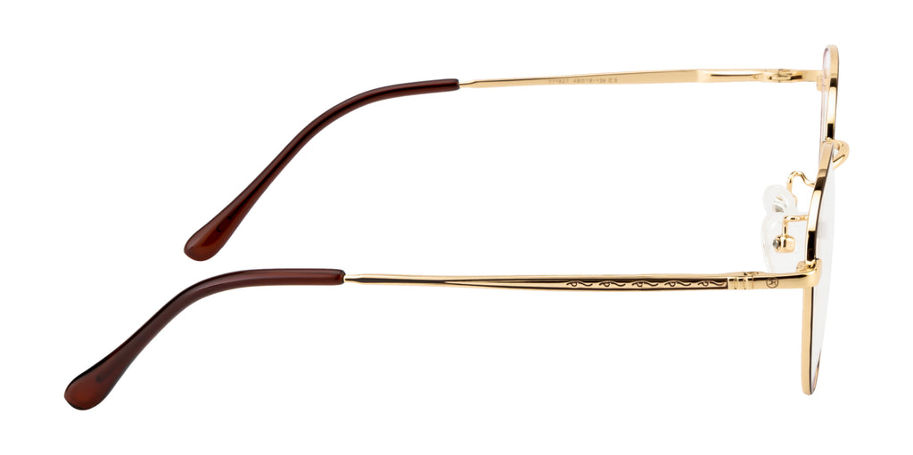 Round Metal Eyewear Frame In Gold & Brown