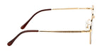 Round Metal Eyewear Frame In Gold & Brown
